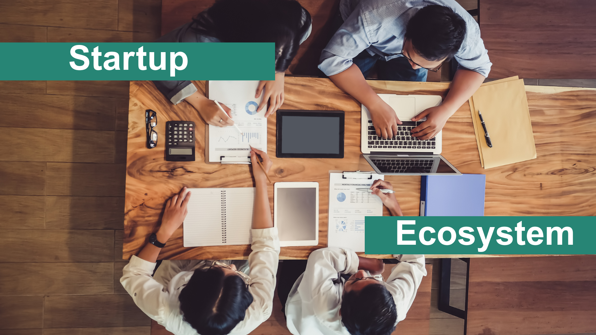 Ecosistema de Startups